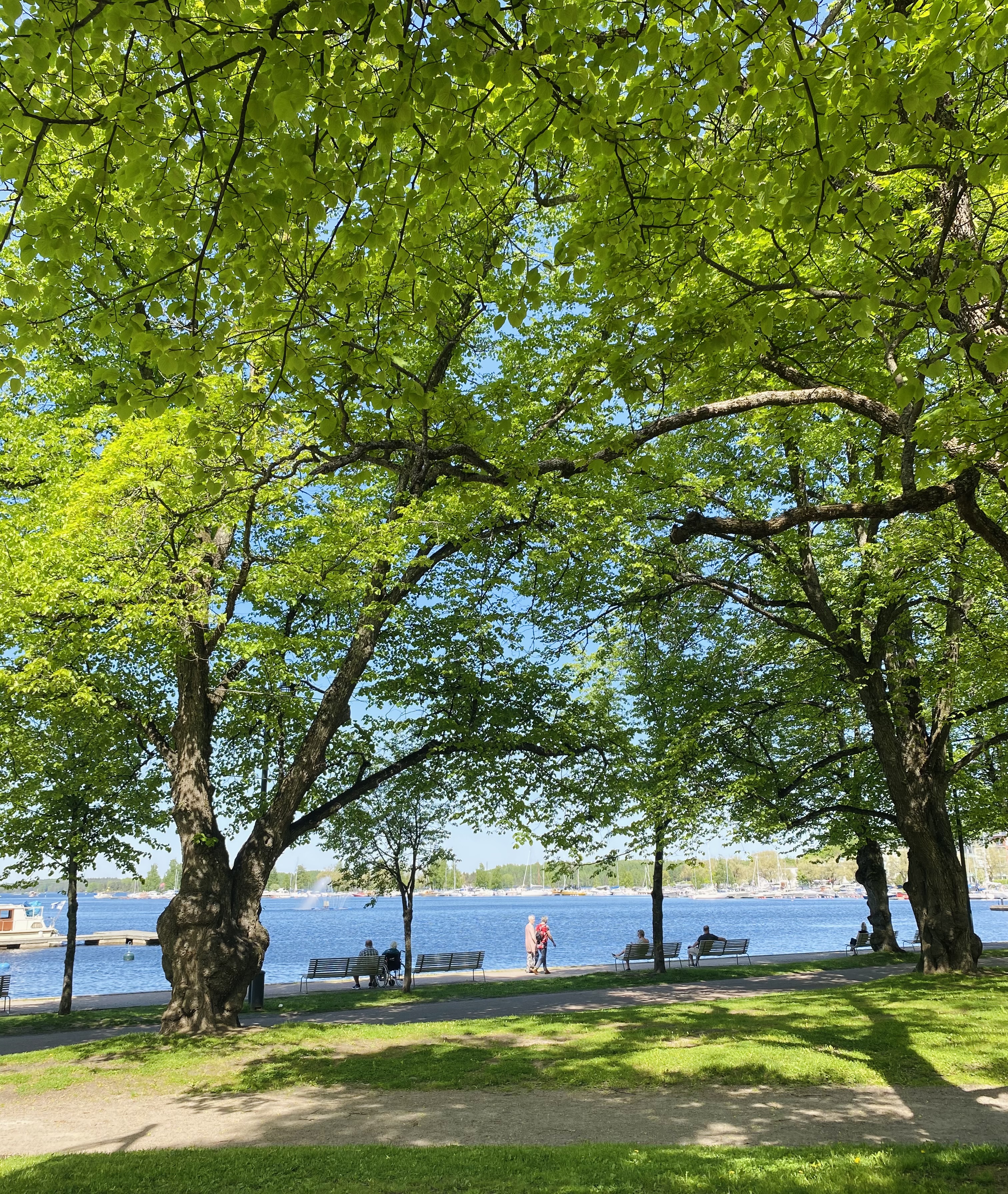 LappeenrantaFI/Liikenne ja kaupunkiympäristö/Katu- ja ympäristörakentaminen/IMG_3676.jpg